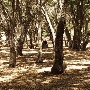 Tapia Park @ Malibu Creek State Park (SP)