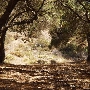 Tapia Park @ Malibu Creek State Park (SP)