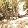 Tapia Park @ Malibu Creek State Park (SP)