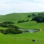 Tresch Dairy