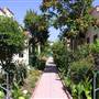 Chevy Chase Courtyard - Roxbury