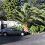 AAA Trailer Home Estates