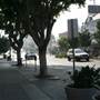 Wilshire Blvd. & Commonwealth Ave.