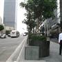 5th St. between Grand Ave. & Olive St.