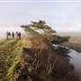 Arcata Marsh and Wildlife Sanctuary