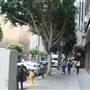 Olive St. between 6th and 7th St.