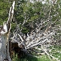 Washoe Meadows State Park (SP)