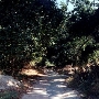Whiting Ranch Wilderness Park