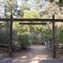 Descanso Gardens