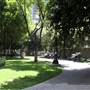 Los Angeles Central Library - LAPL Downtown and all Branch Libraries Citywide