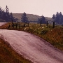 Bear River Ridge Road - Off HWY 101