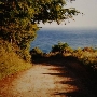 Briceland Road