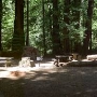 Big Basin Redwoods State Park (SP)