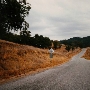 Carmel Valley Road / Monterey County Route G16