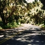Huasna Road