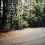 Highway 236 - Felton