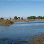 Colusa National Wildlife Refuge