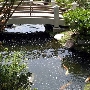 Earl Burns Miller Japanese Garden - California State University Long Beach - CSULB