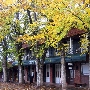 Columbia State Historic Park (SHP)
