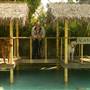 Paradise Ranch Pet Resort