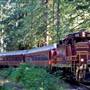 Skunk Train - California Western Railroad