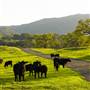Santa Margarita Ranch