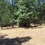 Siderman Family Camp and Conference Center /  Camp Gan Israel West / fka Putney Ranch