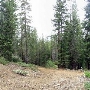Burton Creek State Park (SP)