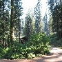 Balch Park - Tulare County Parks & Recreation