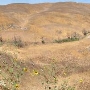 Chino Hills State Park (SP)
