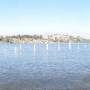 Frank G. Bonelli Regional Park / Puddingstone Reservoir