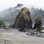 Trinidad State Beach (SB)
