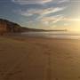 Blacks Beach and Scripps Institution of Oceanography Pier @ UC San Diego - UCSD