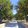 California State University, Northridge - CSUN (All Buildings & Facilities)