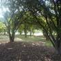 California State University, Northridge - CSUN (All Buildings & Facilities)