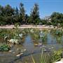 California State University, Northridge - CSUN (All Buildings & Facilities)