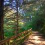 San Bruno Mountain State Park (SP)