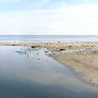 Capitola Village