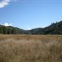 Palomar Mountain State Park (SP)