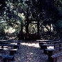Ronald W. Caspers Wilderness Park