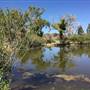 Twin Pines Ranch