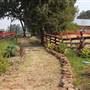 Anselmo Vineyard