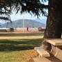 Shasta Dam