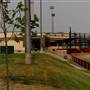 Big League Dreams (Sports Complex)