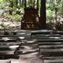 Butano State Park (SP)