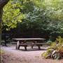 Butano State Park (SP)