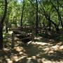 China Camp State Park (SP)