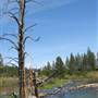 Donner Memorial State Park (SP)  / Donner Lake