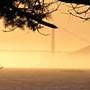 McLaughlin Eastshore State Park State Seashore (SP) - East Bay Regional Park District