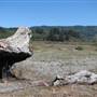 Humboldt Lagoons State Park (SP) / Big Lagoon, Stone Lagoon, Dry Lagoon & Freshwater Lagoon
